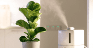melhores umidificadores de ar 