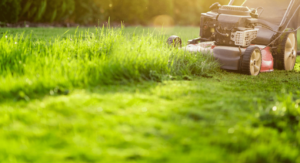 Melhores cortadores de grama