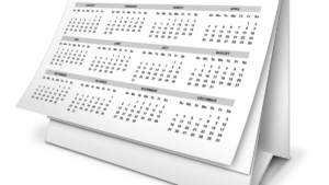 8 semanas são quantos dias