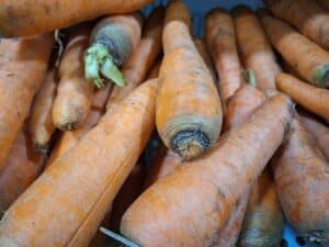 benefícios da cenoura crua