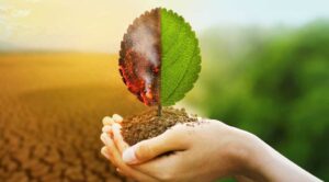 Impacto ambiental: soluções sustentáveis e inovadoras